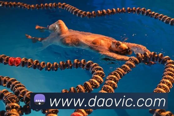 企业概况